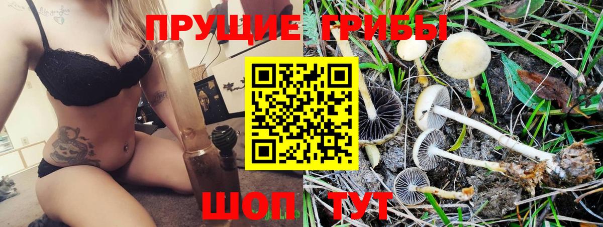 Шахты  Галлюциногенные грибы GOLDEN TEACHER  Вход с VPN 